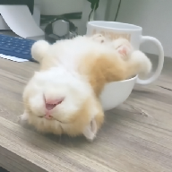 WWW,se535·COM网站APPAPP应用