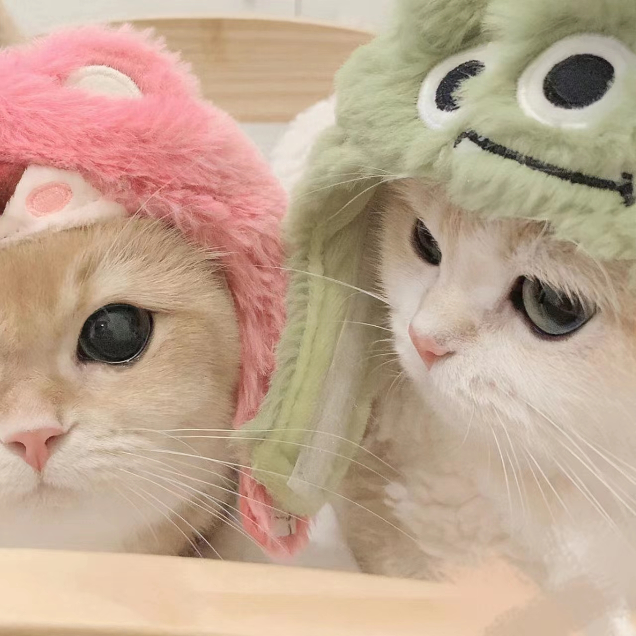 污视频软件下载官方版APP应用