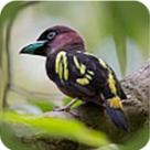 WWW,1100lu·COM网站APPAPP应用